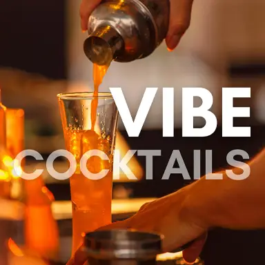 vibe 1